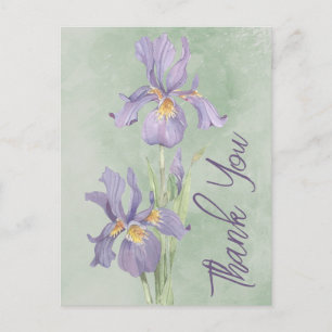 Thank You Postcard