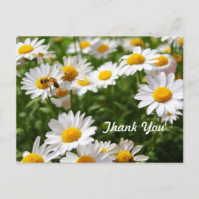 thank you postcard (Front)