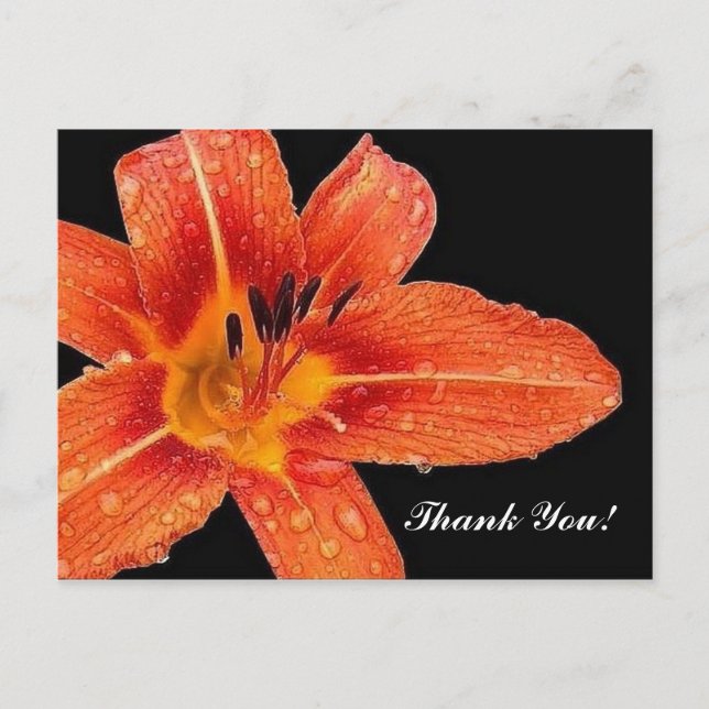 Thank You! Postcard (Front)