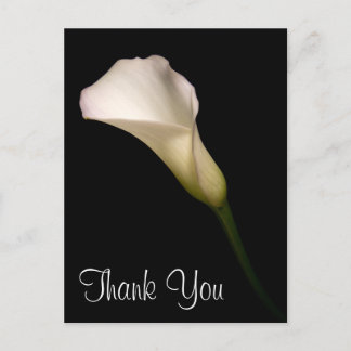 Thank You Postcard