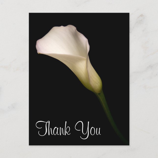 Thank You Postcard (Front)