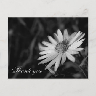 Thank you postcard