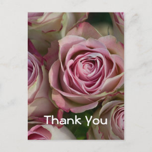 Thank You Postcard