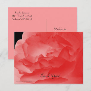 Thank You Postcard, Coral Pink Rose Petals Postcard