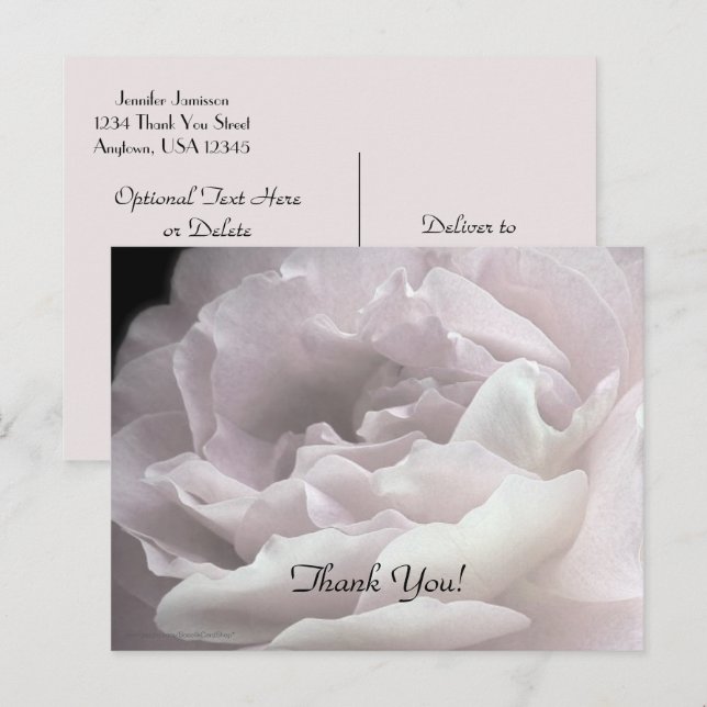 Thank You Postcard, Pale Pink Rose Postcard (Front/Back)