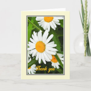 Thank You Pretty White Daisies Custom Card