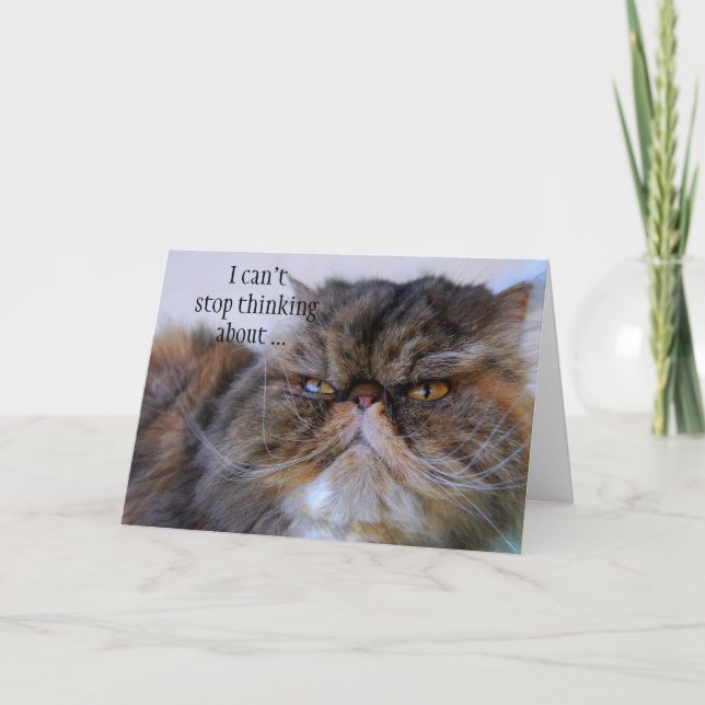 Thank You Proud Calico Persian Kitty Card (Front)