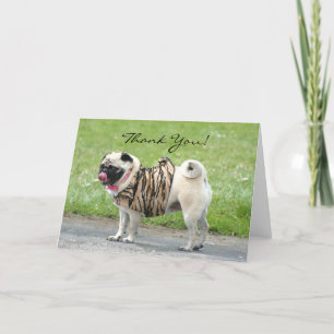 Thank You Pug greeting card