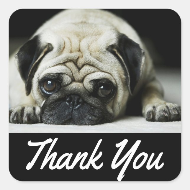 Thank You Pug Puppy Dog Black Canine Square Sticker (Front)