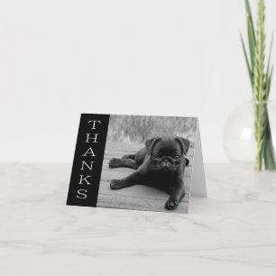 Thank You Pug Puppy Dog Black & White  Note Card