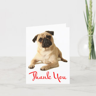 Thank You Pug Puppy Dog Blank Note Card