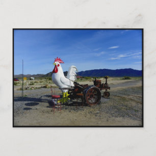 Thank You Ragnar Relay Race 2010 Postcard