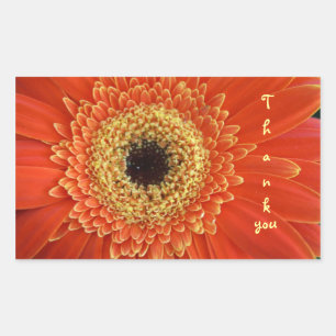 thank you rectangular sticker