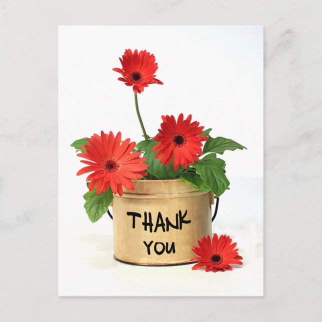 Thank You Red Gerbera Daisy Flower Pot Post Card (Front)