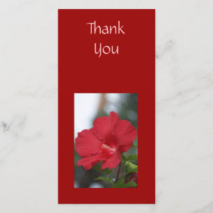 Thank You Red Hibiscus Card