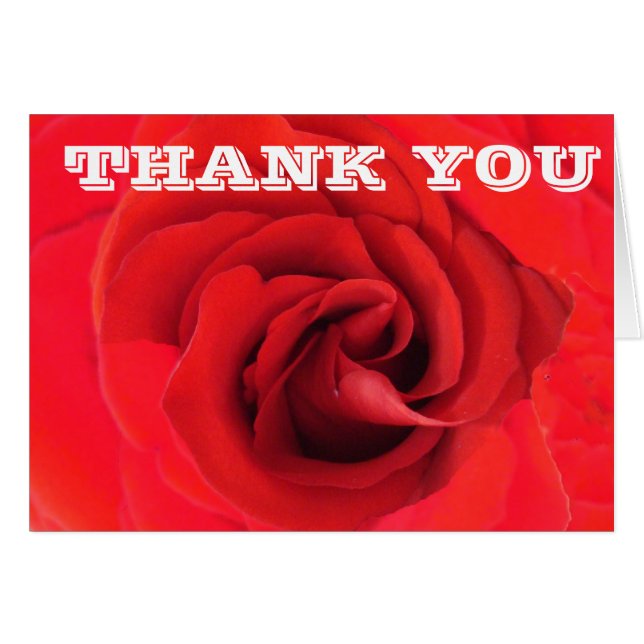 Thank You Red Rose Flower Close-up Photo Floral (Front Horizontal)