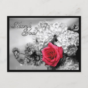 Thank You! Red Rose with Black / White Background Postcard