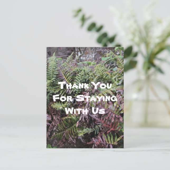 Thank You Rental House Ferns Forest Cabin Guest Postcard (Standing Front)