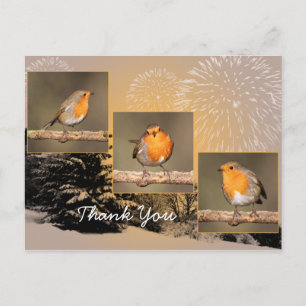 Thank You Robin Tryptych Postcard