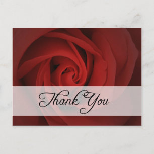 thank you : roses : postcard