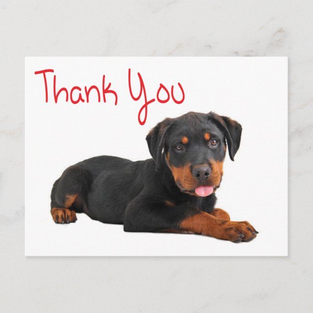 Thank You Rottweiler Puppy Dog Greeting Postcard (Front)