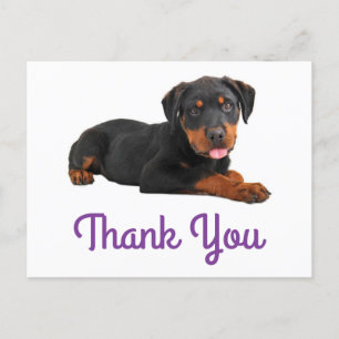 Thank You Rottweiler Puppy Dog Greeting Postcard