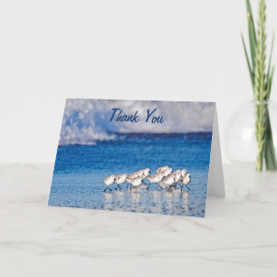 Thank You   Sandpipers Beach Birds Card