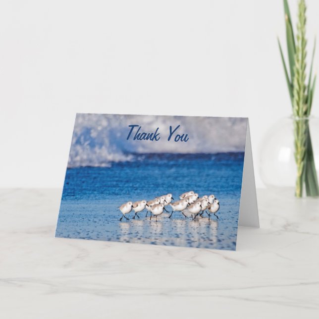 Thank You | Sandpipers Beach Birds Card (Front)