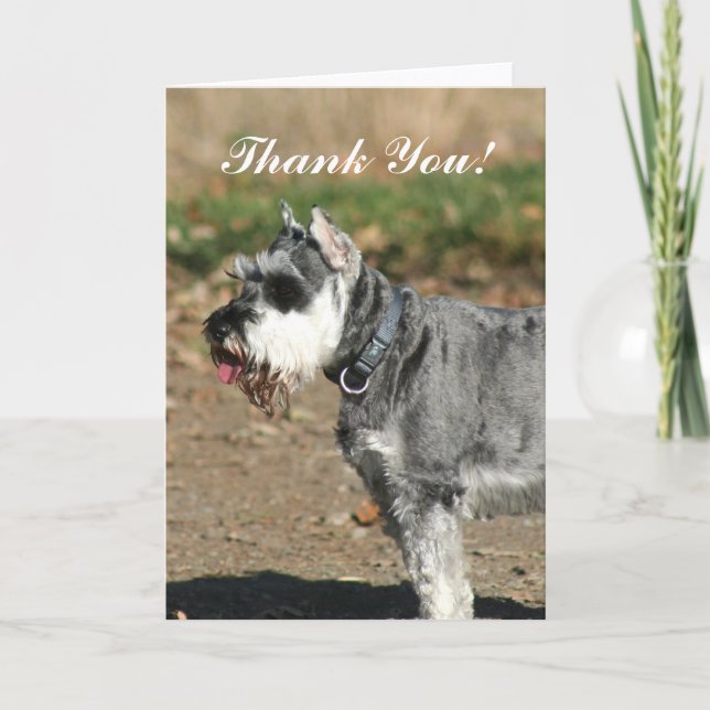 Thank You Schnauzer dog greeting card (Front)