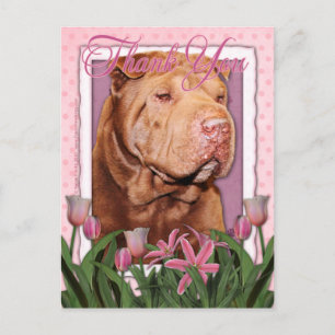 Thank You - Shar Pei - Lucky Postcard