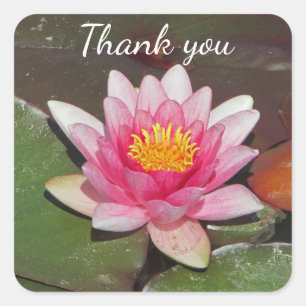Thank You Simple Pink Water Lily Multipurpose Square Sticker