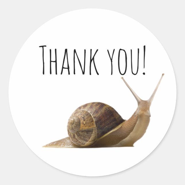 Thank you Snail Classic Round Sticker (Front)