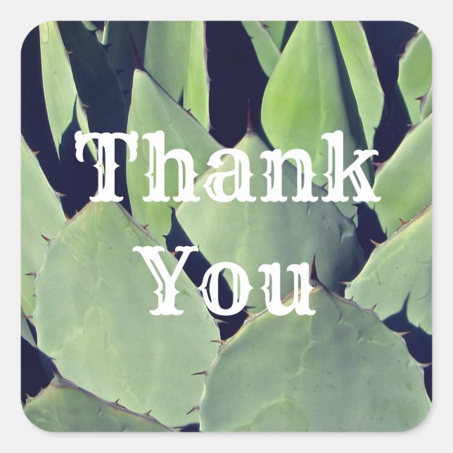Thank You Southwestern Style Agave Appreciation Square Sticker (Front)