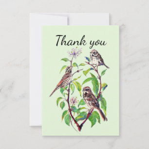 Thank You Sparrow Garden Bird  Nature Art Card