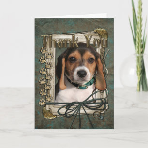 Thank You - Stone Paws - Beagle Puppy Card