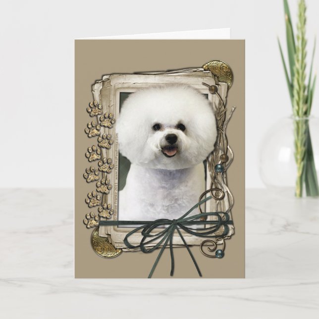 Thank You - Stone Paws - Bichon Frise (Front)