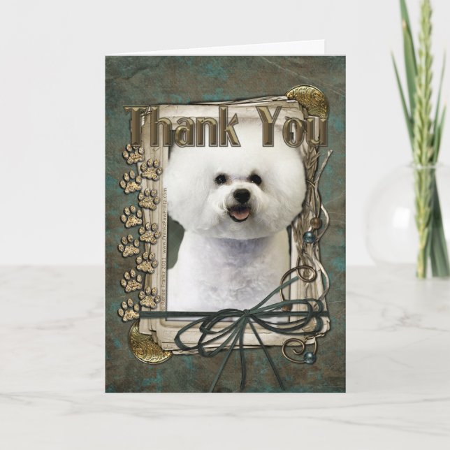 Thank You - Stone Paws - Bichon Frise Card (Front)