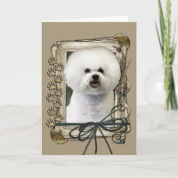 Thank You - Stone Paws - Bichon Frise
