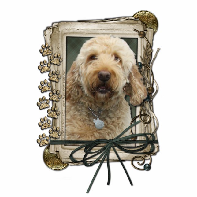 Thank You - Stone Paws - GoldenDoodle Standing Photo Sculpture (Front)