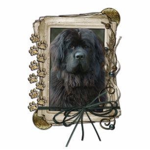 Thank You - Stone Paws - Newfoundland Standing Photo Sculpture