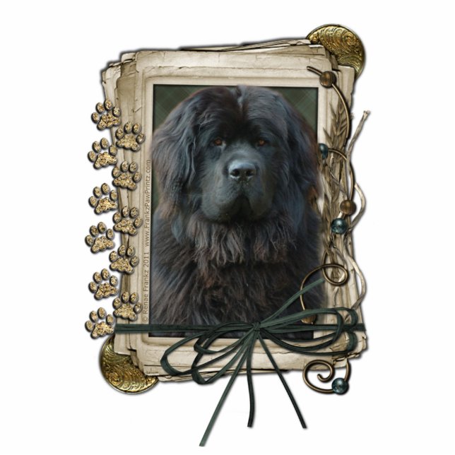 Thank You - Stone Paws - Newfoundland Standing Photo Sculpture (Front)