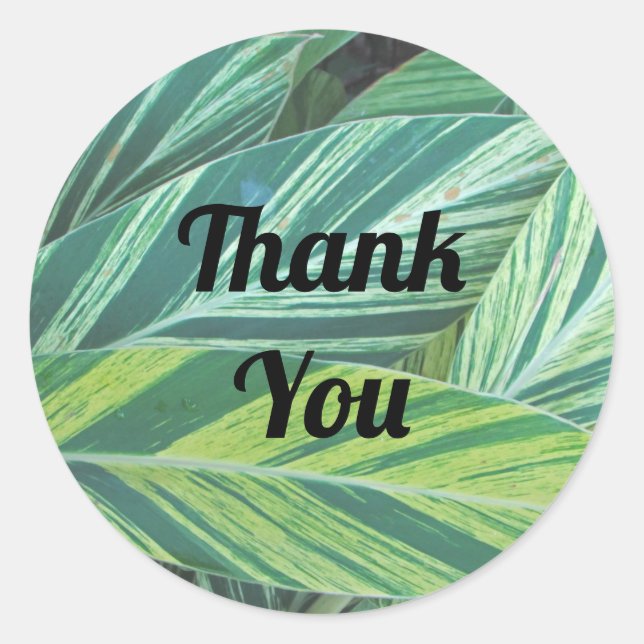 Thank You Striped Tropical Leaves Appreciation Classic Round Sticker (Front)