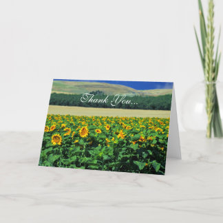 Thank you...Sunflowers Thank You Card