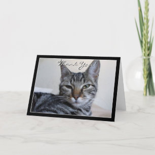 Thank You Tabby Cat greeting card