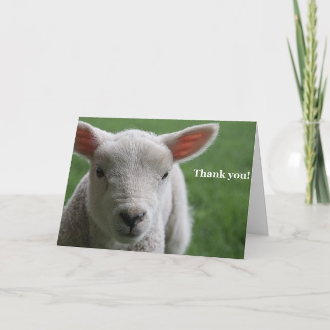 Thank you! thank you card (Front)