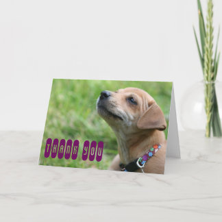 Thank you! thank you card