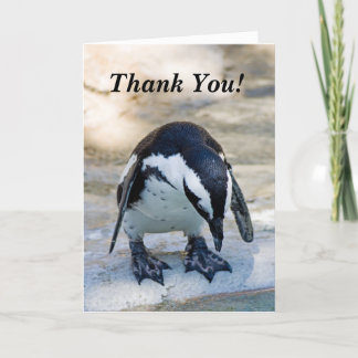 Thank You! Thank You Card