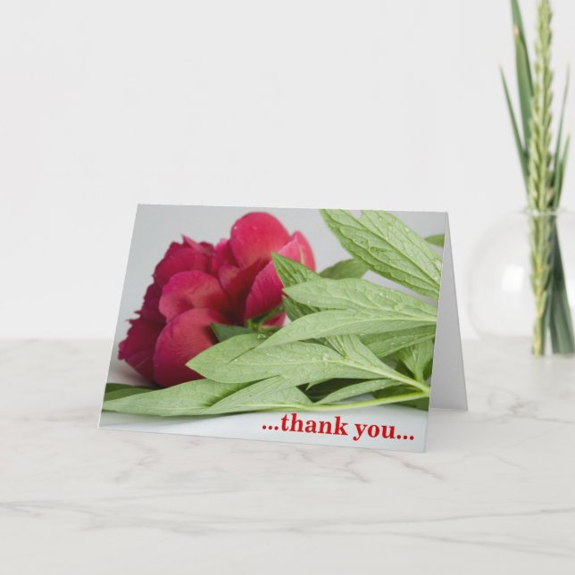 ...thank you... thank you card (Front)