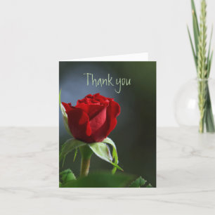 Thank you Thanks Red Rose Garden Flower Card