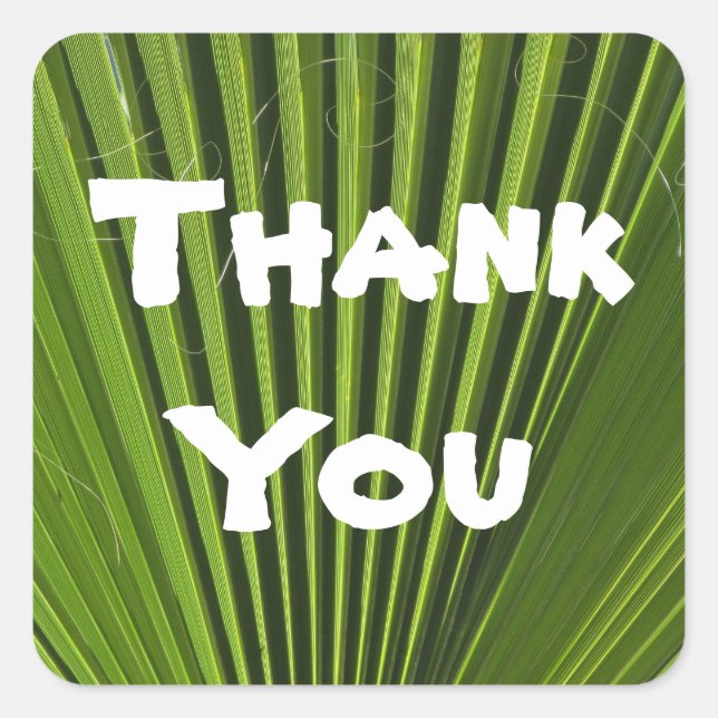 Thank You Tropical Green Palm Leaf Appreciation Square Sticker (Front)